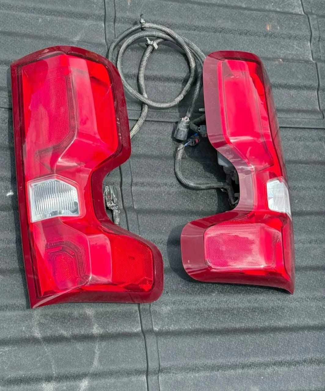 WhatsApp Image 2026-02-01 at 1.58.44 AM